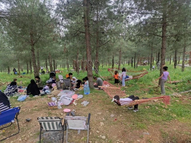 piknik