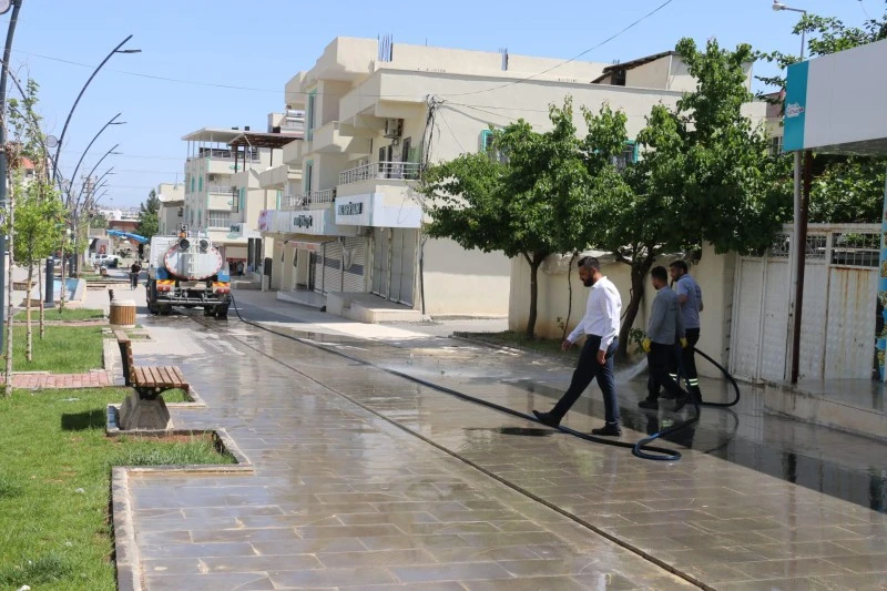 Mahallemiz Tertemiz