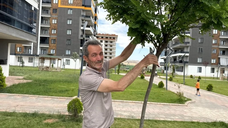 180 ağaç