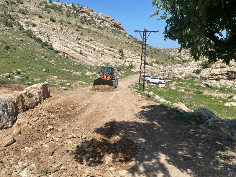 aa