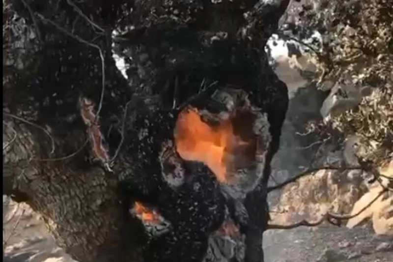 a