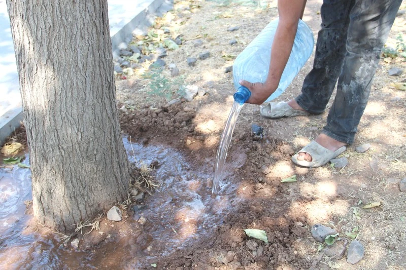 a