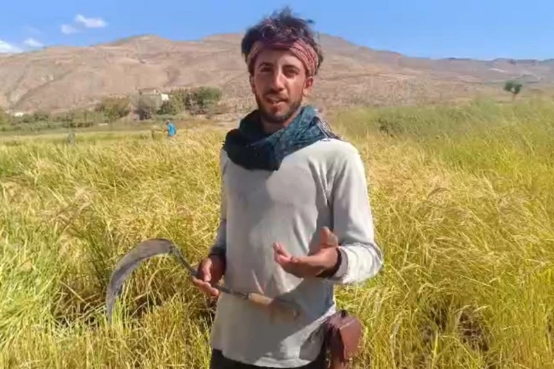 a