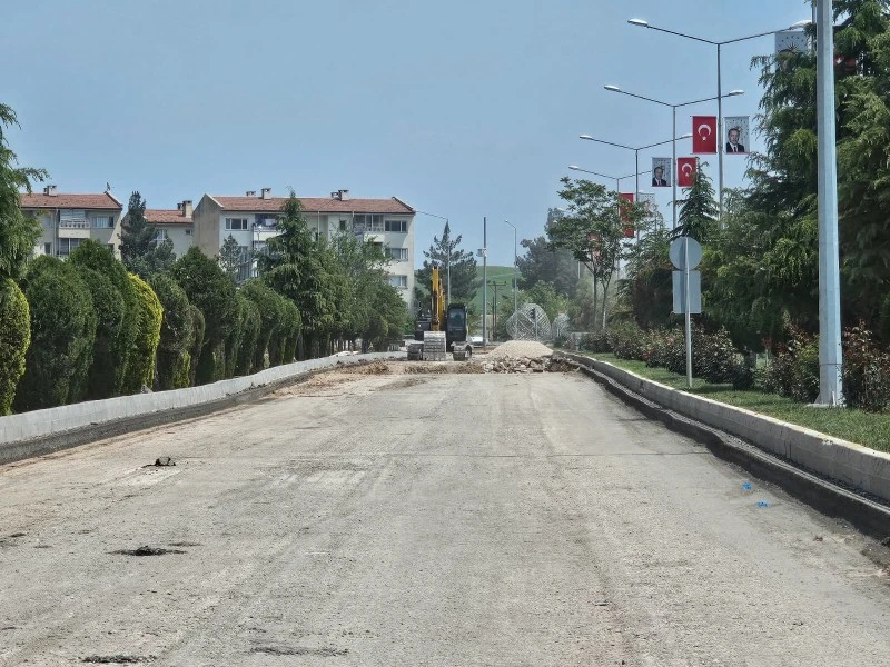 ş