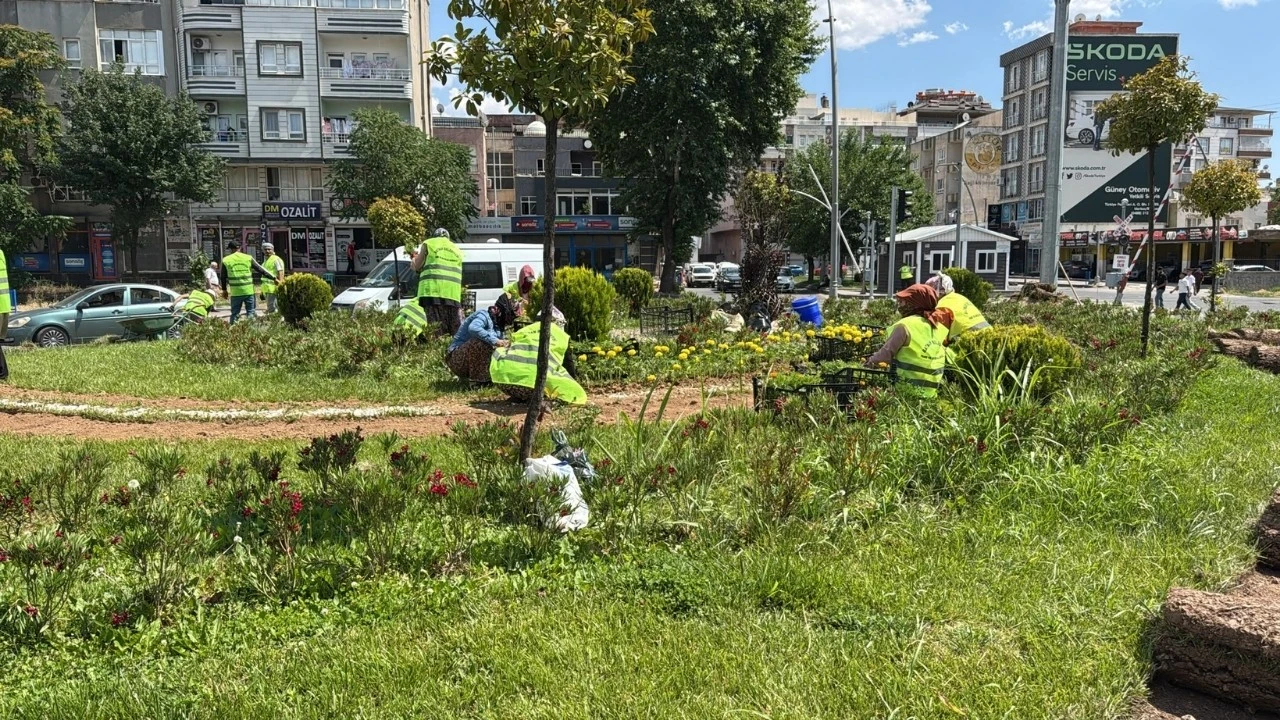 70 BİN ÇİÇEK TOPRAKLA BULUŞUYOR
