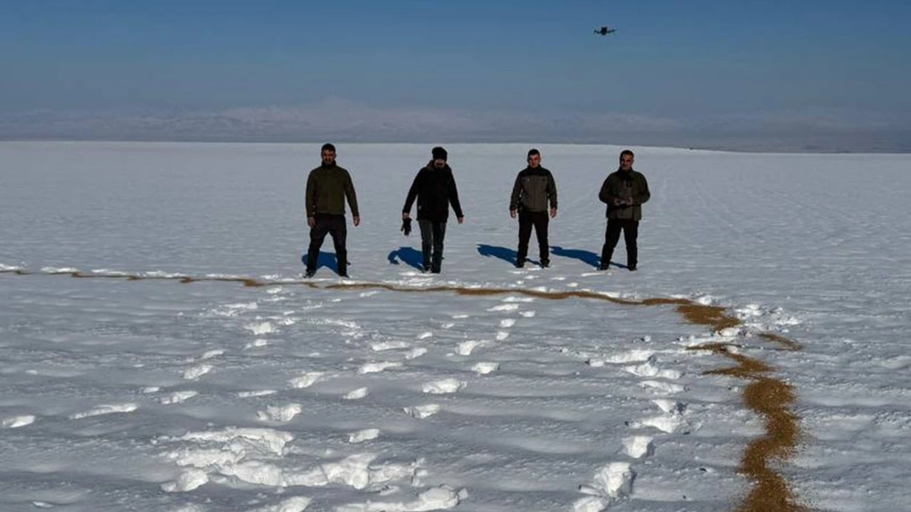 DOĞAYA YEM SEFERBERLİĞİ