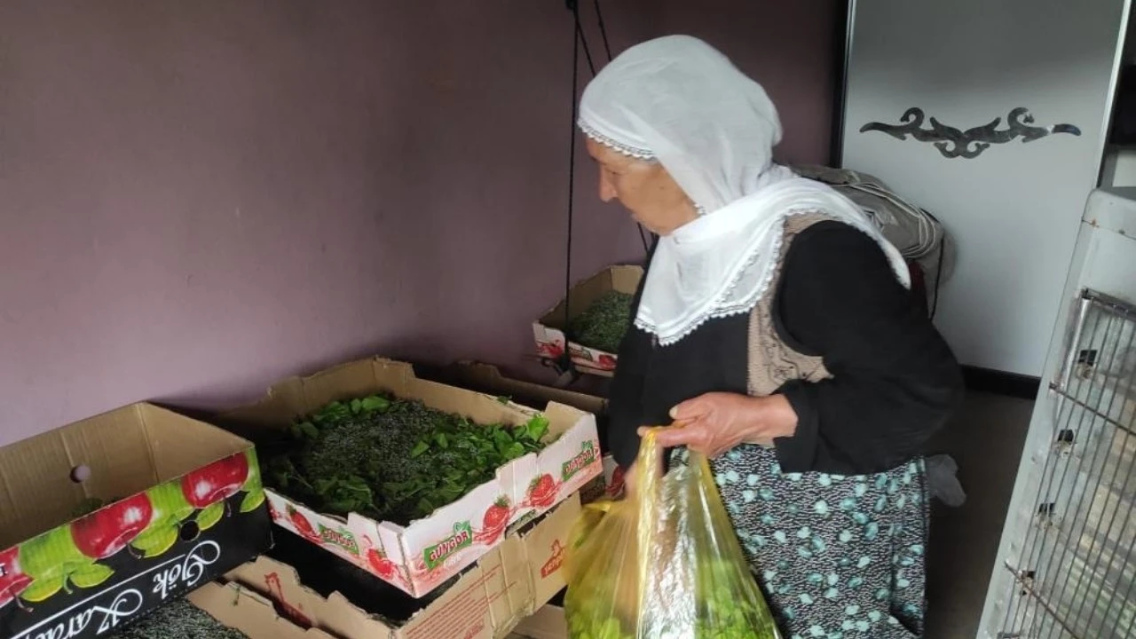 72 AİLEYE LARVA DAĞITIMI YAPILDI