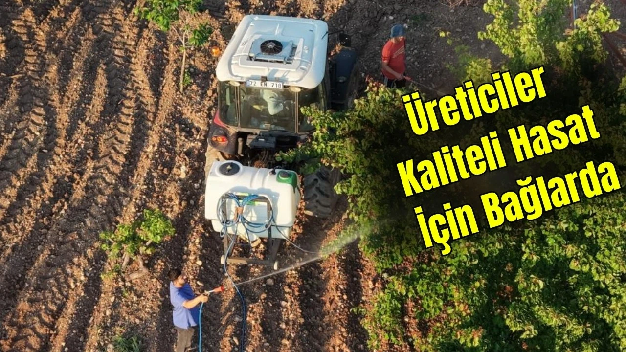 BAĞLARDA İLAÇLAMA MESAİSİ BAŞLADI