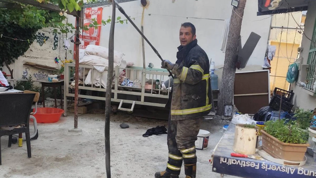 İRMİYE K&Ouml;Y&Uuml;NDE DEV YILAN KORKUTTU