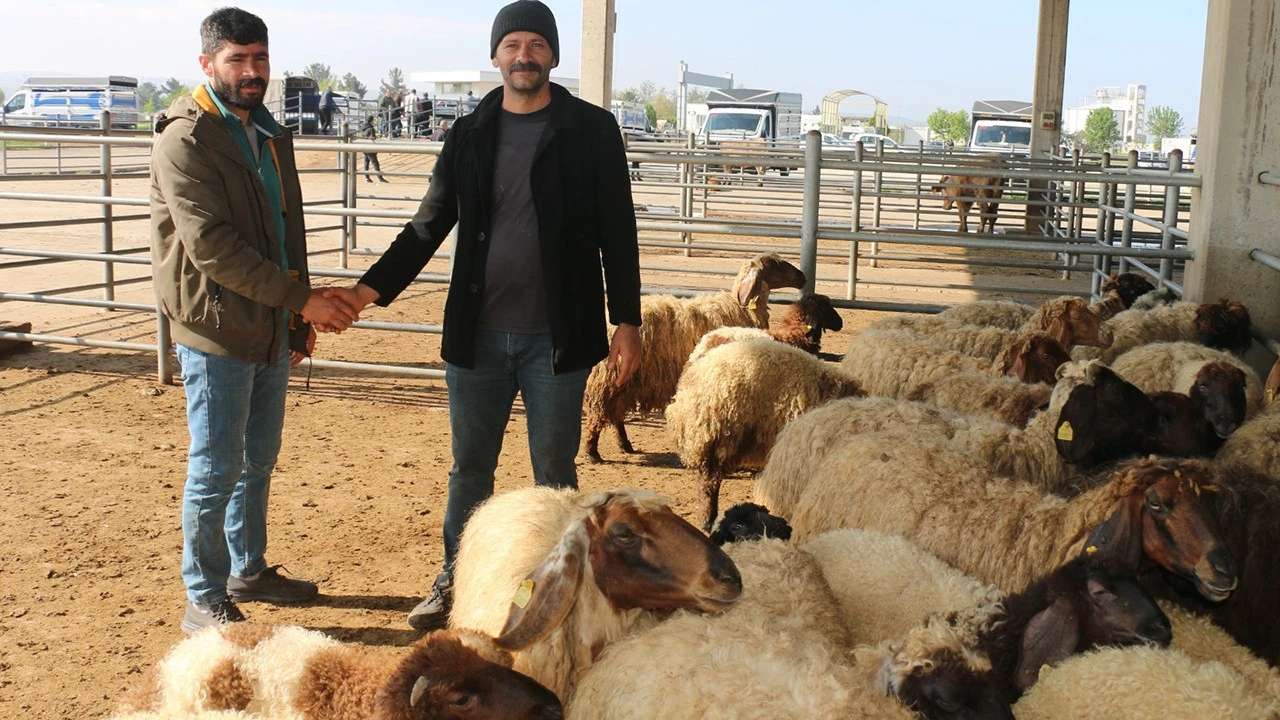 KURBANLIKLAR G&Ouml;R&Uuml;C&Uuml;YE &Ccedil;IKTI