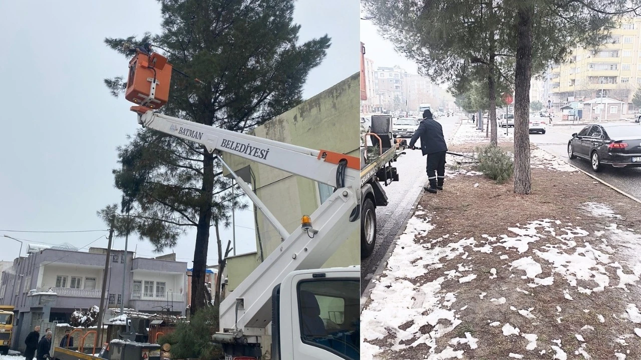 KIŞ ŞARTLARINA KARŞI YEŞİL ALANLARI G&Uuml;&Ccedil;LENDİRİYOR