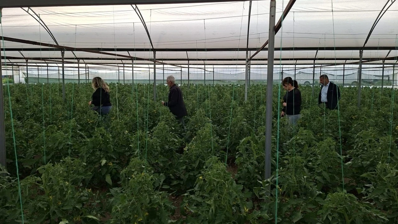 SERA &Uuml;RETİCİLERİNE HASTALIK UYARISI