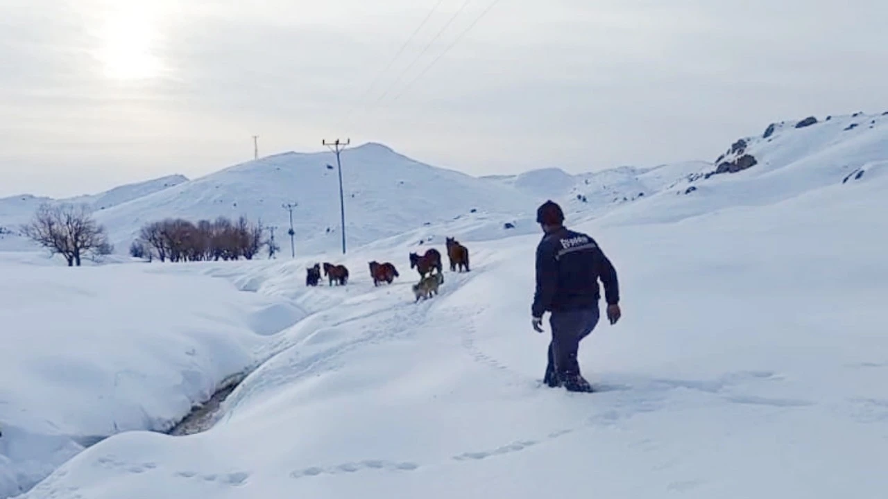 KARDA MAHSUR KALAN KATIRLAR KURTARILDI