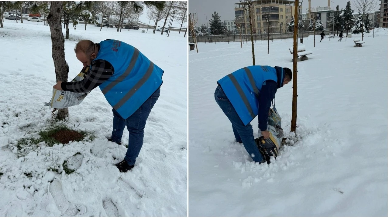 KAR YAĞIŞI SONRASI AĞA&Ccedil;LARA M&Uuml;DAHALE