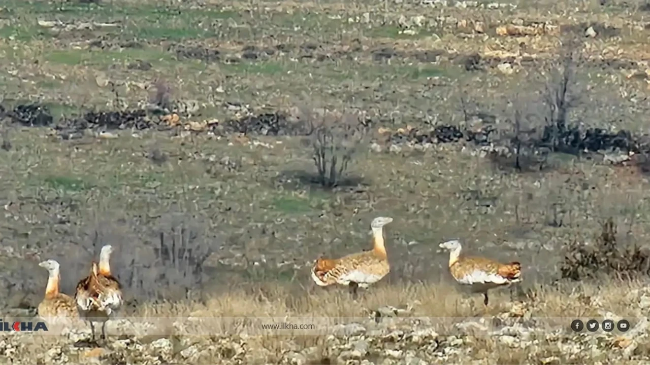 YILLAR SONRA YENİDEN G&Ouml;R&Uuml;LD&Uuml;
