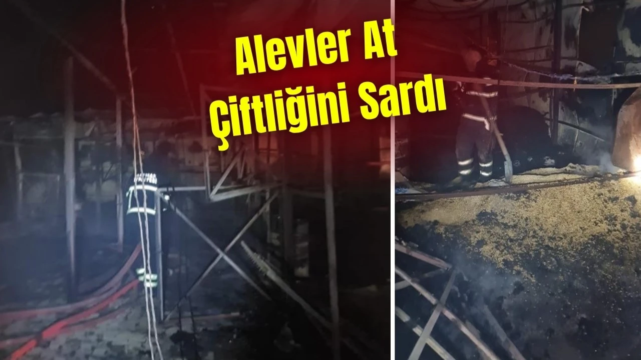 AT ÇİFTLİĞİNDE KORKUTAN YANGIN