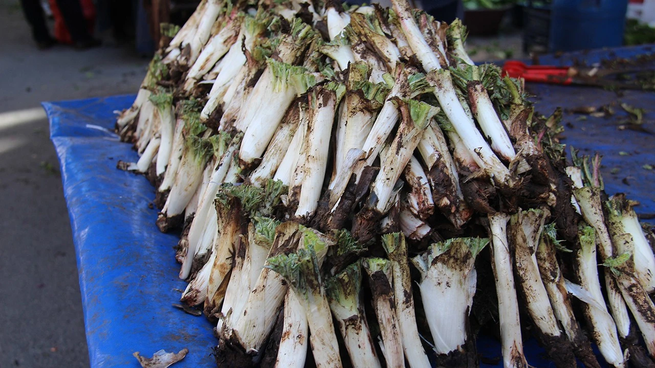 BATMAN&rsquo;IN DAĞLARINDAN SOFRAYA UZANAN ŞİFA