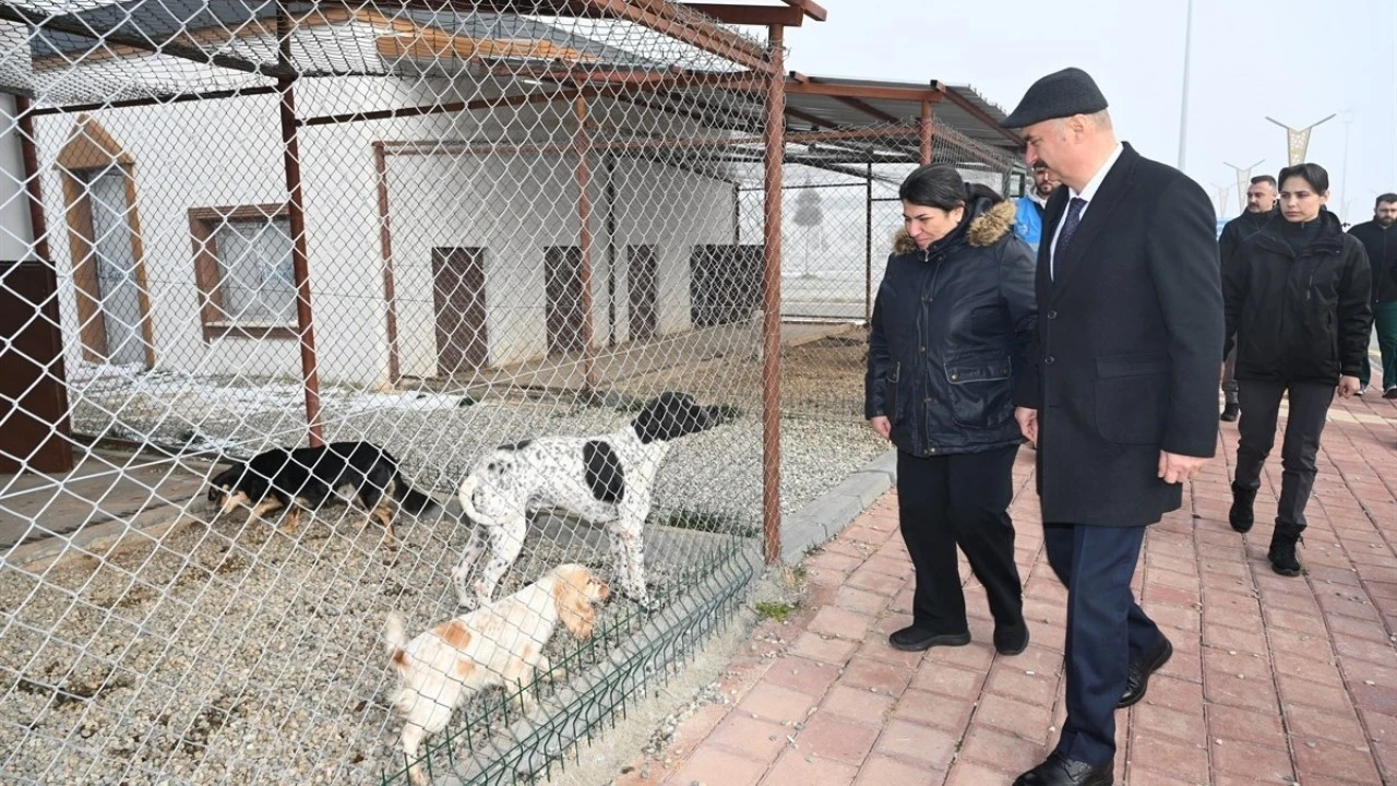 KIŞ AYLARINDA G&Uuml;NL&Uuml;K MAMA MİKTARI ARTIRILDI