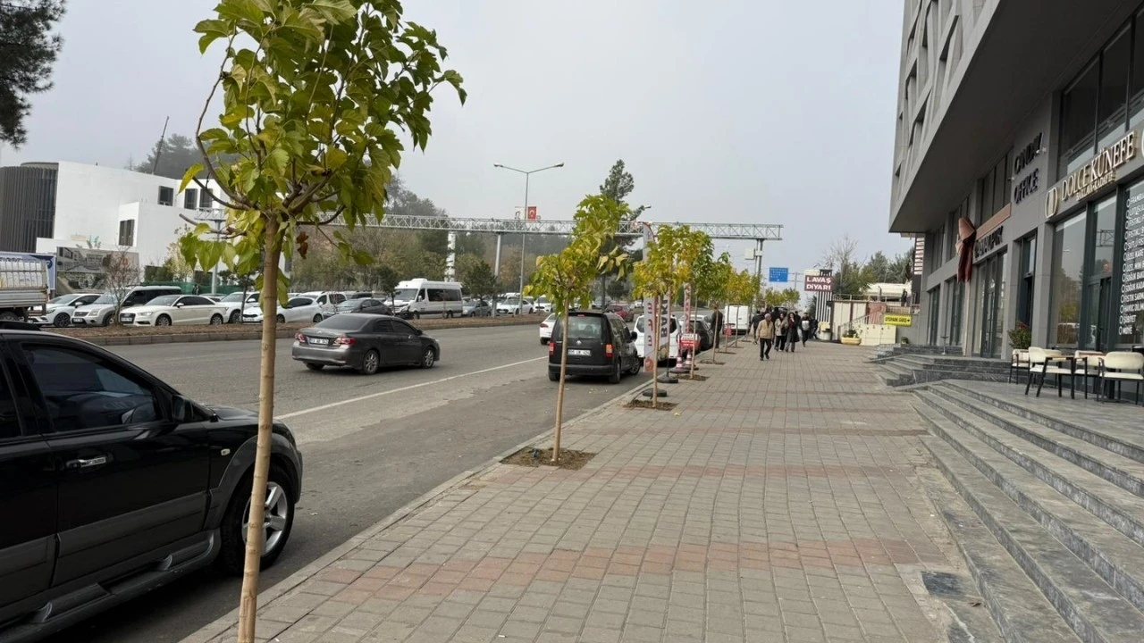 EŞ ZAMANLI AĞAÇLANDIRMA YAPILDI