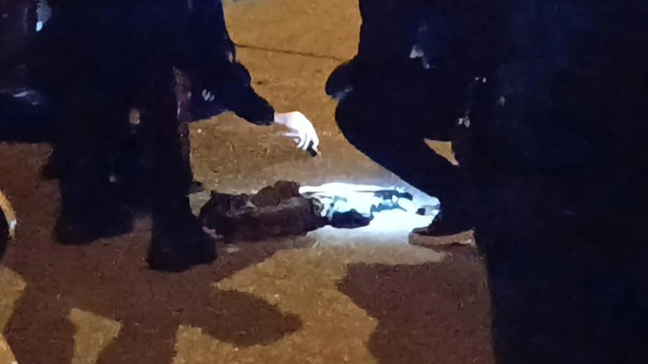 İKİ KİŞİYİ YARALAYAN ŞAHIS TUTUKLANDI