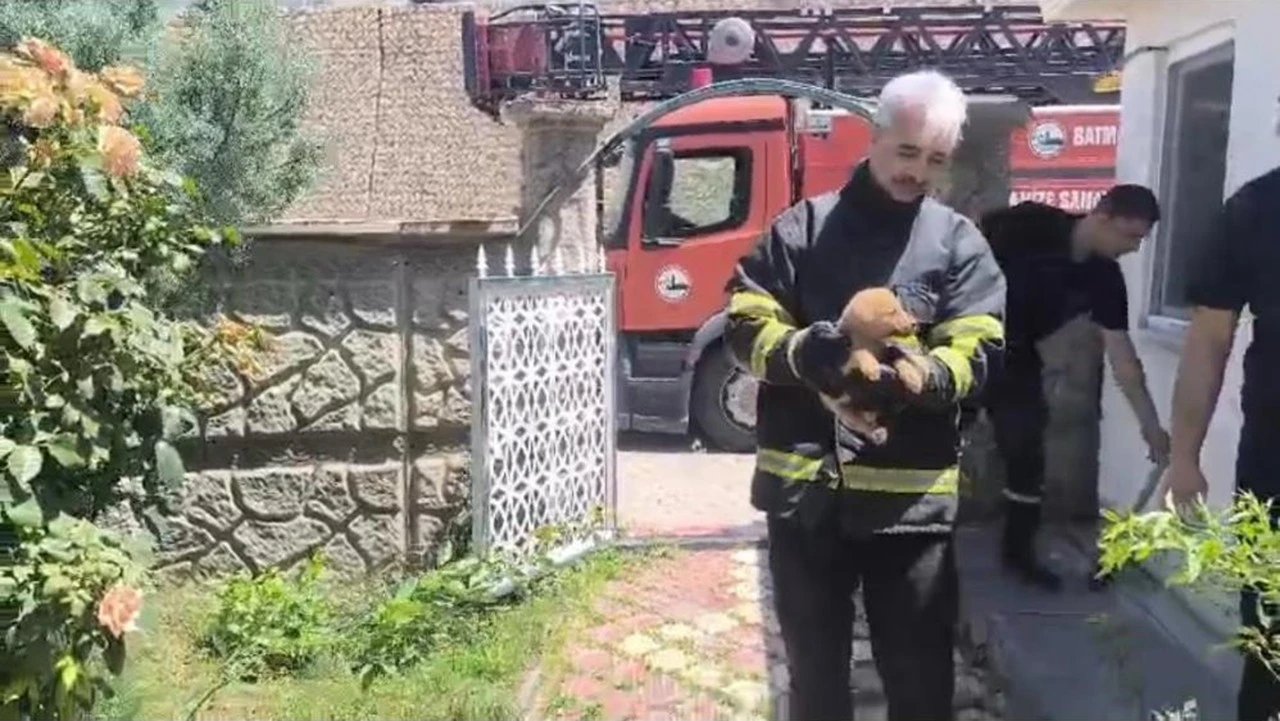 OSB'DE SIKIŞAN K&Ouml;PEĞE İŞ&Ccedil;İLER SAHİP &Ccedil;IKTI