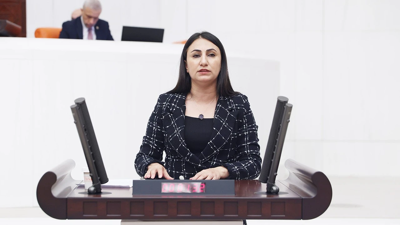 ODUNCU, TUN&Ccedil;&rsquo;UN ATANMAMASINI MECLİS G&Uuml;NDEMİNE TAŞIDI