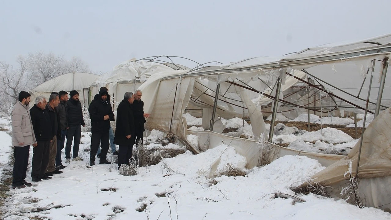 ŞAHİN: &Ccedil;İFT&Ccedil;İ ZOR DURUMDA, SERALARDA B&Uuml;Y&Uuml;K HASAR VAR