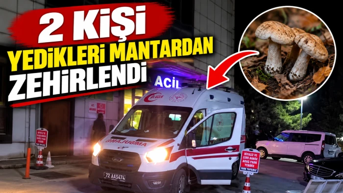 2 Kişi yedikleri mantardan zehirlendi