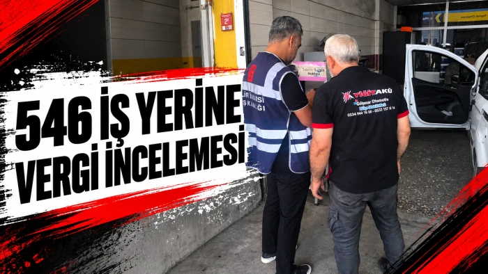 546 İŞ YERİNE VERGİ İNCELEMESİ