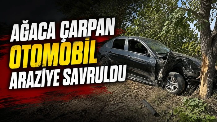 AĞACA &Ccedil;ARPAN OTOMOBİL ARAZİYE SAVRULDU