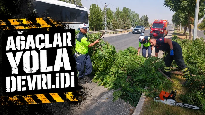 AĞA&Ccedil;LAR YOLA DEVRLİDİ