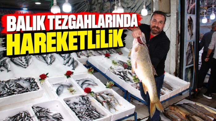 Balık tezgahlarında hareketlilik