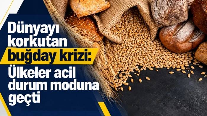 D&uuml;nyayı korkutan buğday krizi: &Uuml;lkeler acil durum moduna ge&ccedil;ti