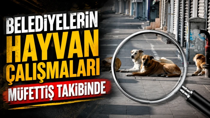 BELEDİYELERİN HAYVAN &Ccedil;ALIŞMALARI M&Uuml;FETTİŞ TAKİBİNDE