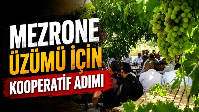 MEZRONE &Uuml;Z&Uuml;M&Uuml; İ&Ccedil;İN KOOPERATİF ADIMI