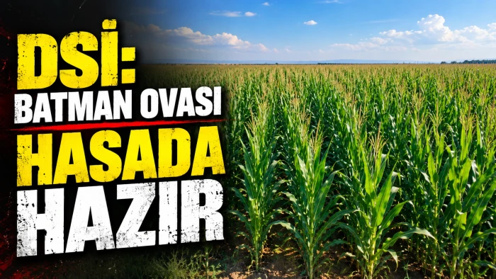 DSİ: BATMAN OVASI HASADA HAZIR