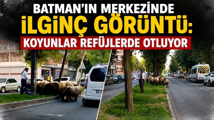 BATMAN&rsquo;IN MERKEZİNDE İLGİN&Ccedil; G&Ouml;R&Uuml;NT&Uuml;: