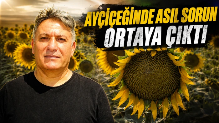 AY&Ccedil;İ&Ccedil;EĞİNDE ASIL SORUN ORTAYA &Ccedil;IKTI