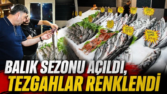 BALIK SEZONU A&Ccedil;ILDI, TEZG&Acirc;HLAR RENKLENDİ