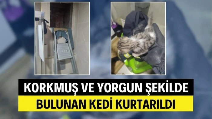 HAVALANDIRMA BOŞLUĞUNA DÜŞEN KEDİ KURTARILDI