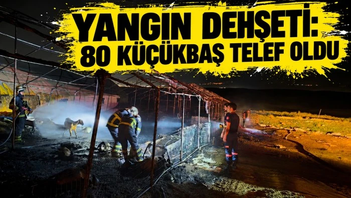 YANGIN DEHŞETİ: 80 K&Uuml;&Ccedil;&Uuml;KBAŞ TELEF OLDU