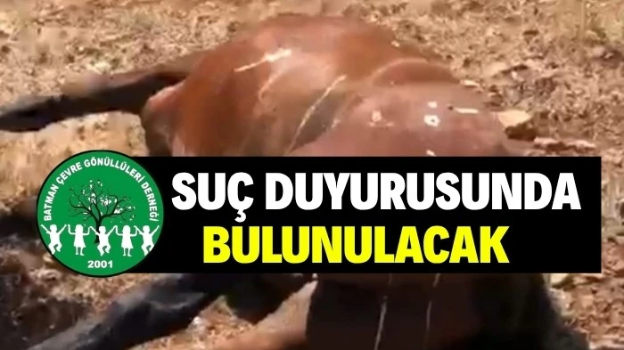 RAMAN DAĞI’NDAKİ VAHŞETE ÇEVRE GÖNÜLLÜLERİNDEN TEPKİ