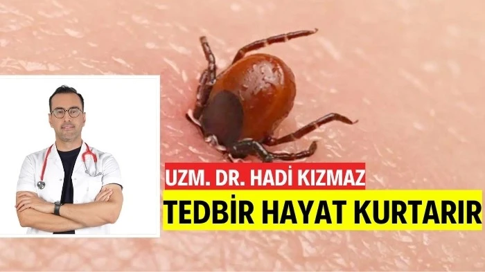 ÇOCUKLARDA KENE ISIRIĞINA DİKKAT!