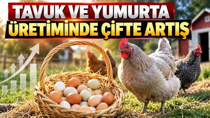 TAVUK VE YUMURTA &Uuml;RETİMİNDE &Ccedil;İFTE ARTIŞ