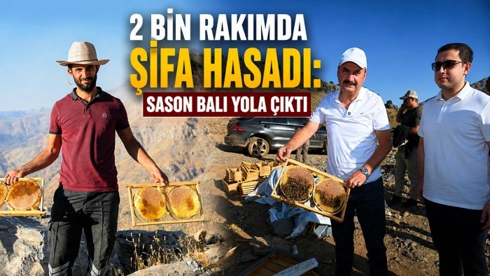 2 BİN RAKIMDA ŞİFA HASADI: SASON BALI YOLA &Ccedil;IKTI