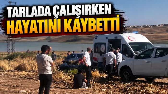 TARLADA &Ccedil;ALIŞIRKEN HAYATINI KAYBETTİ