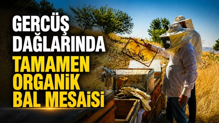 GERC&Uuml;Ş DAĞLARINDA TAMAMEN ORGANİK BAL MESAİSİ