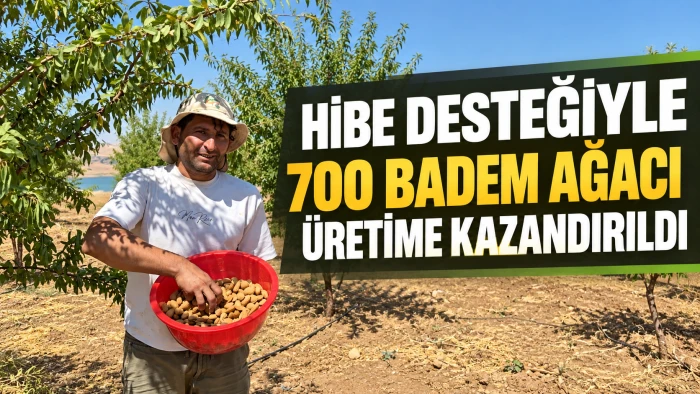 Hibe desteğiyle 700 badem ağacı &uuml;retime kazandırıldı