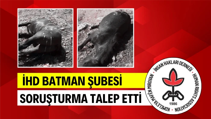 İHD BATMAN ŞUBESİ SORUŞTURMA TALEP ETTİ