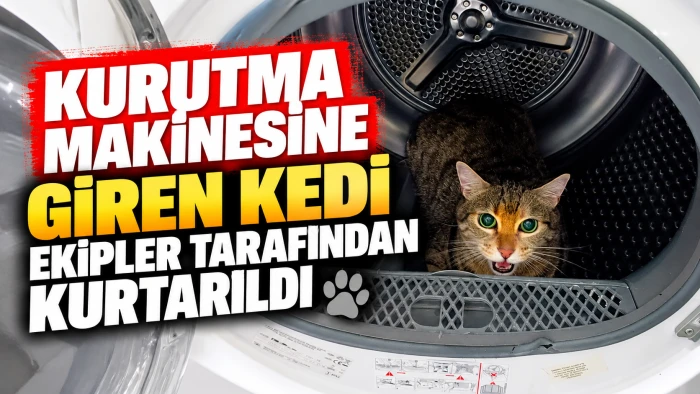 Kurutma makinesine giren kedi ekipler tarafından kurtarıldı